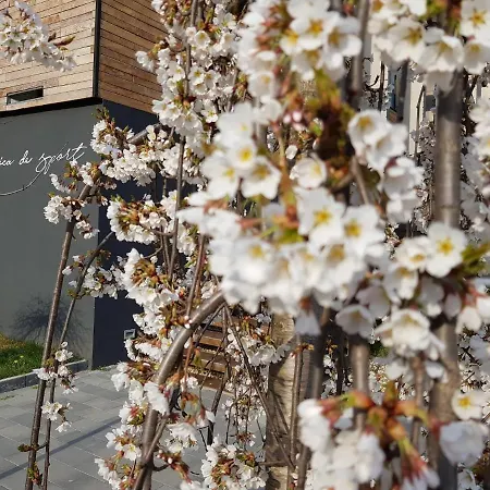 Fabrica 21 Appartamento *