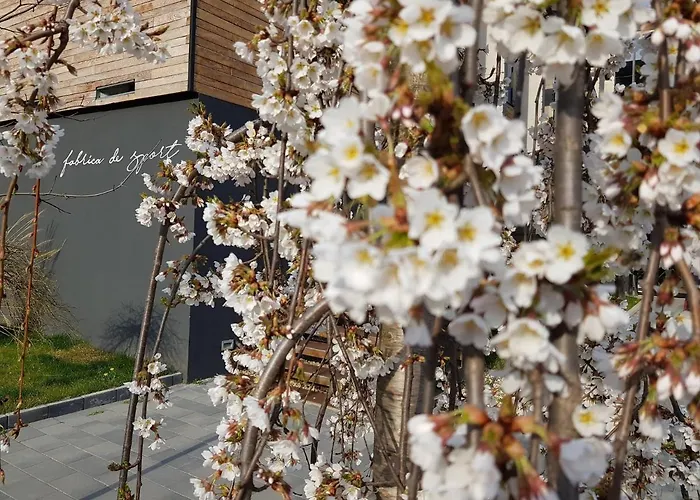 Fabrica 21 Apartman *